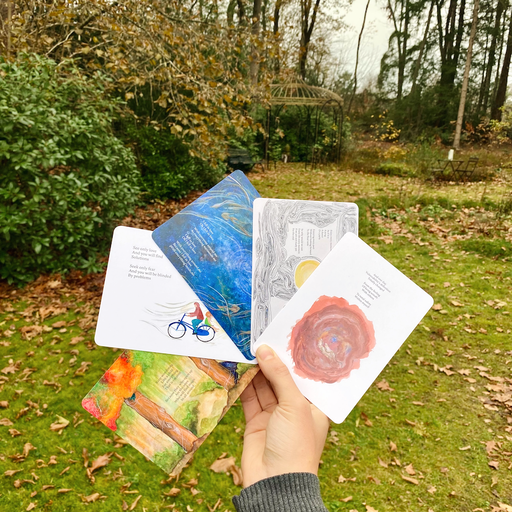 Ansichtkaarten van Rocky Roads the Book set 2